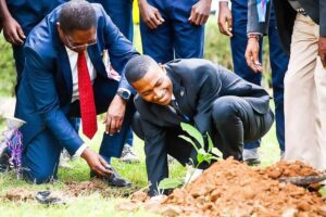 Climate Action Begins With Caring for the Places We Share